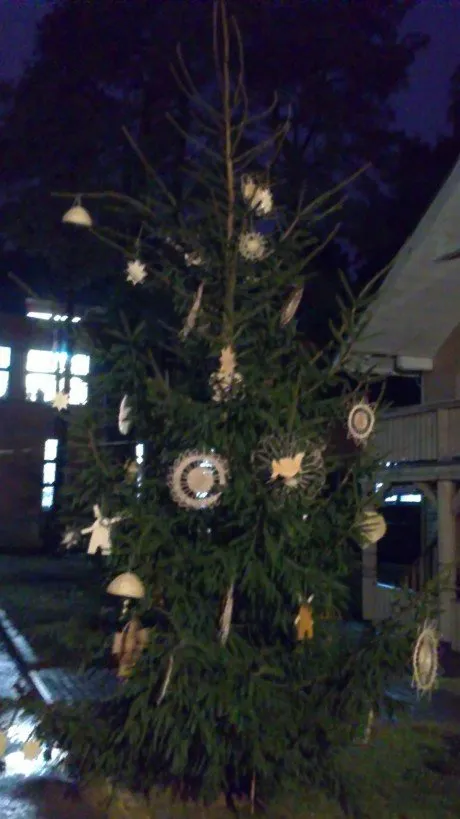 alytausgidas 20111209616