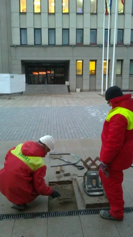 alytausgidas 201112136521