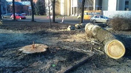 alytausgidas 201112147771