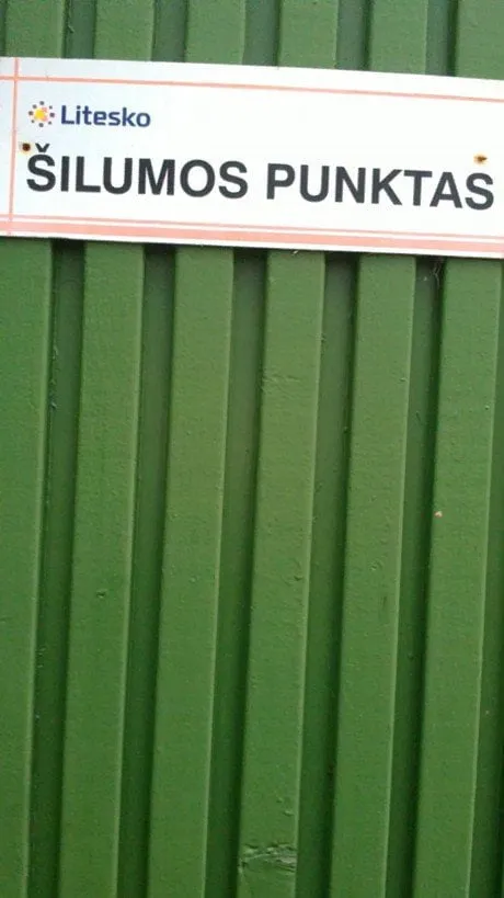 alytausgidas 201201054381