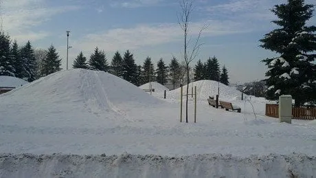 alytausgidas 201202044291