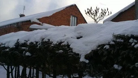 alytausgidas 201202044351