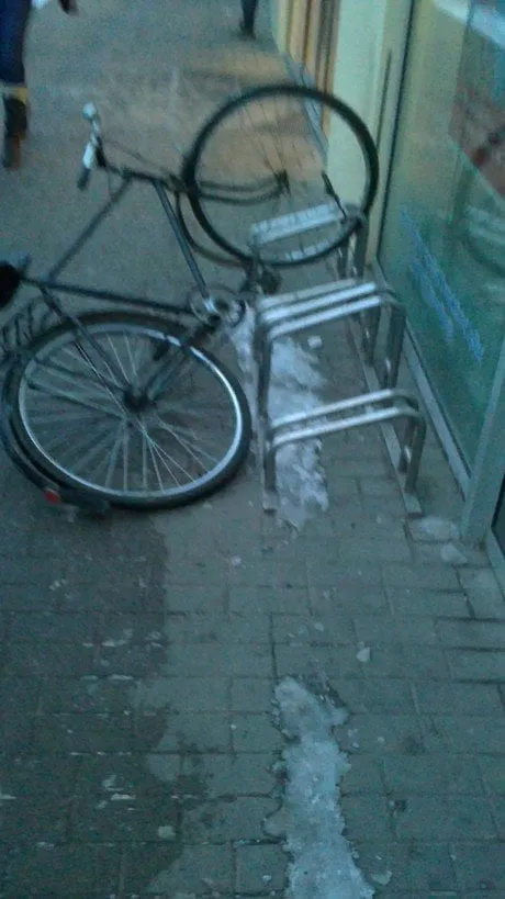alytausgidas 201202166181
