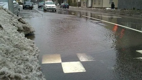 alytausgidas 201202227331