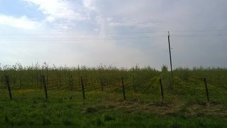 alytausgidas 201205041283