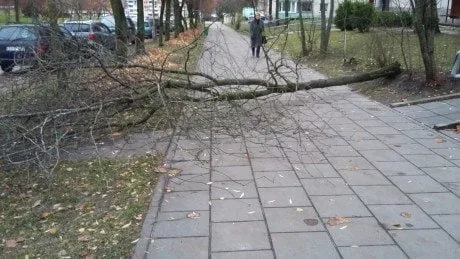 alytausgidas 20151109 080132 1