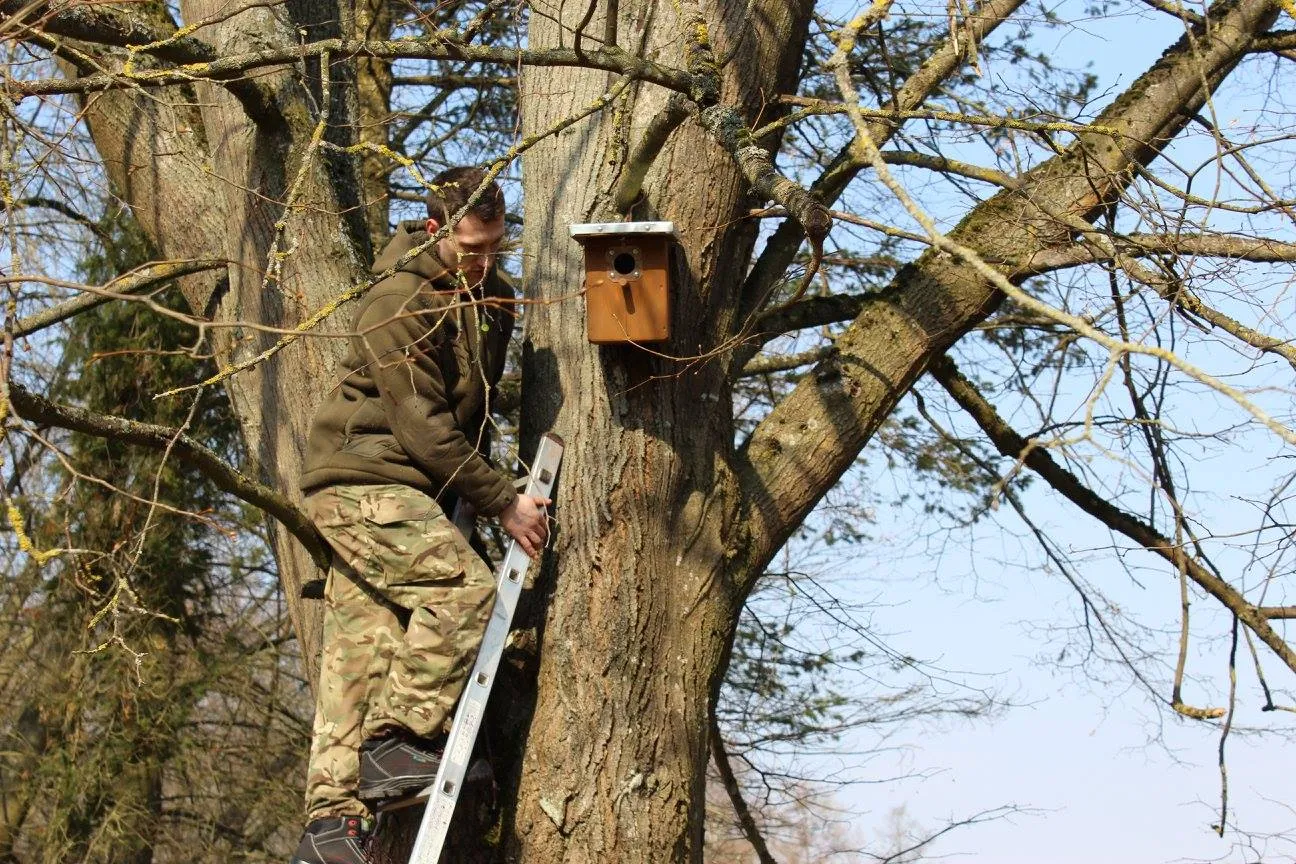 alytausgidas 30171903 1892764690757160 543812844608431866 o