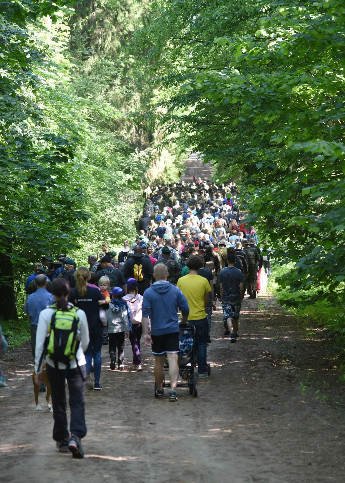 alytausgidas 32947043 10160462139690247 3095294801793253376 o