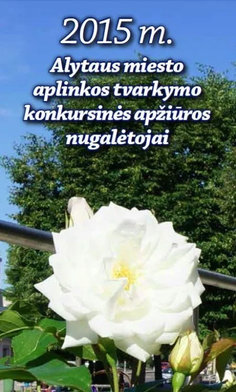 alytausgidas alygel1