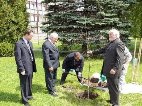 alytausgidas apskritis12