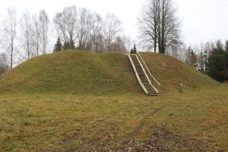 alytausgidas arsa bambi1