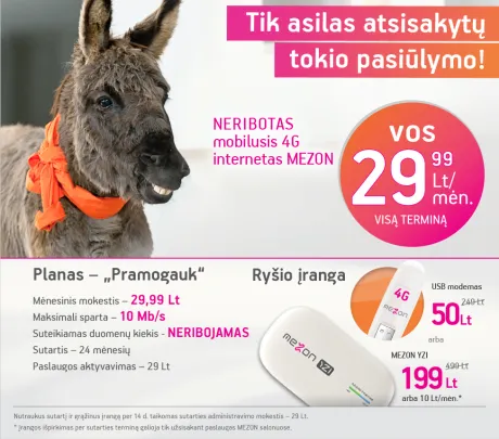 alytausgidas asilas bg1