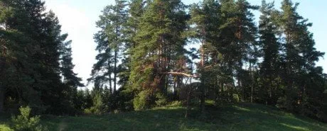 alytausgidas atesni1