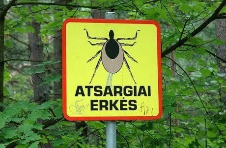 alytausgidas atsargiai erk s1