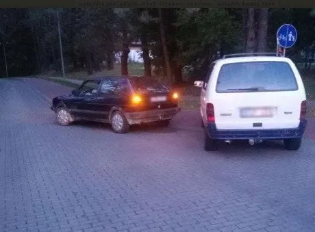 alytausgidas autoalko2