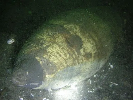 alytausgidas bom1