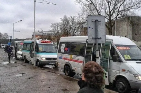 alytausgidas bus 5 8 13
