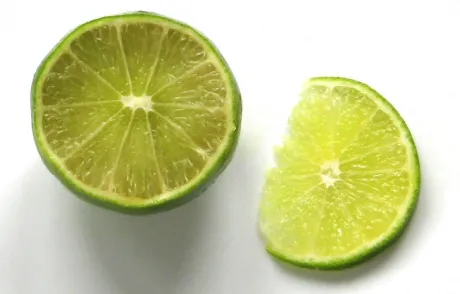 alytausgidas citrus lime1