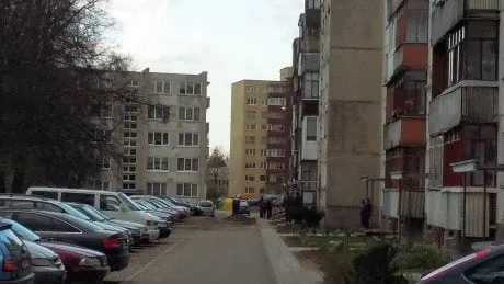 alytausgidas dain mikr1 1