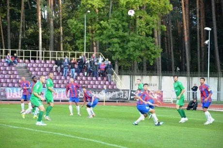 alytausgidas dain zal indrez1