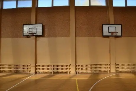 alytausgidas dainavos mokyklos sporto sale 009
