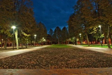 alytausgidas daugai parkas11