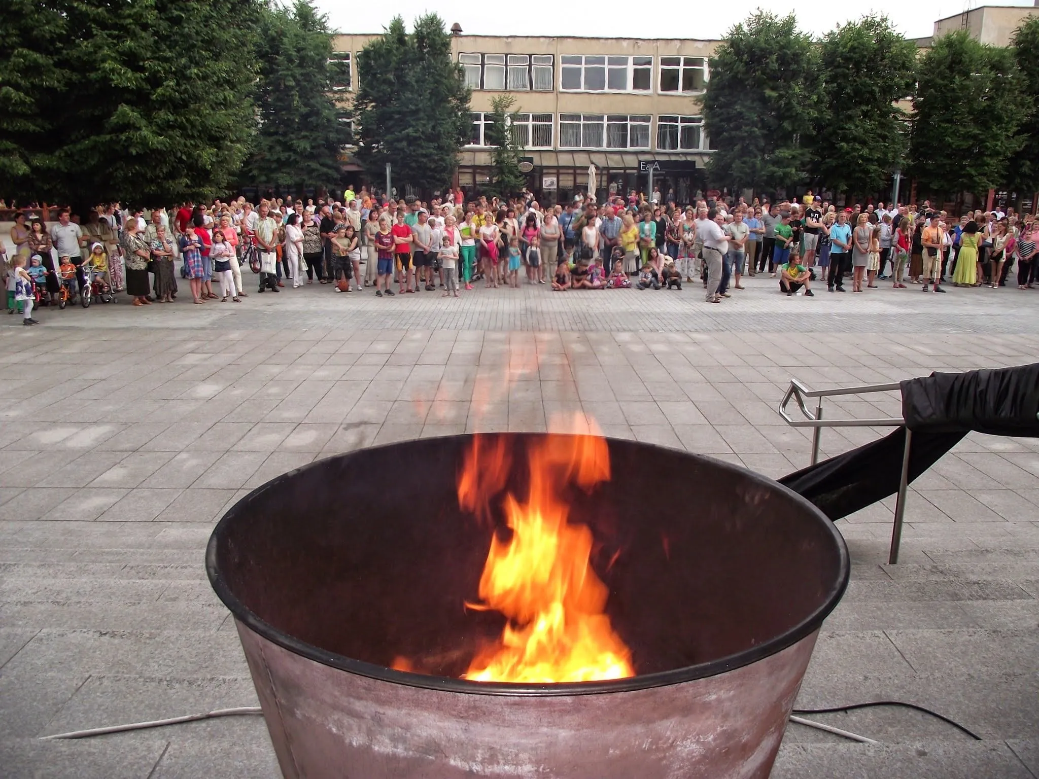 alytausgidas dscf2759