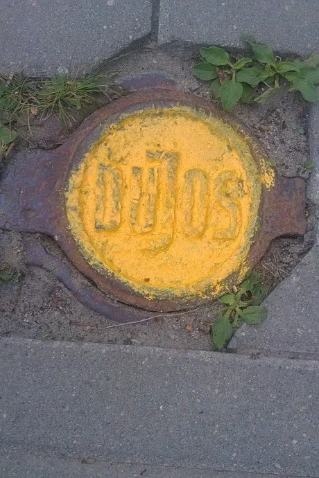 alytausgidas dujo1