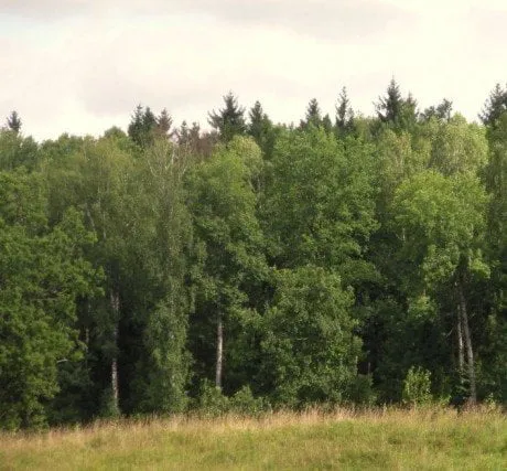 alytausgidas dusni1
