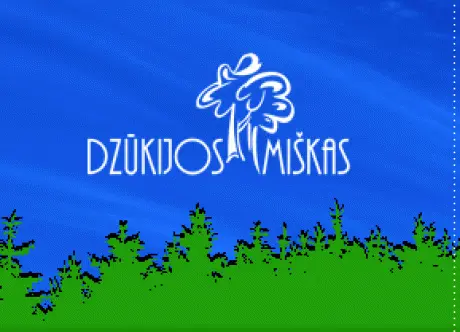 alytausgidas dzukmiski0ms8h41