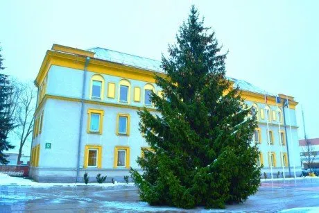 alytausgidas egle 14 varena1
