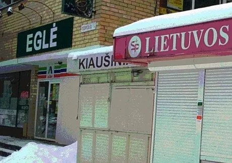 alytausgidas egles