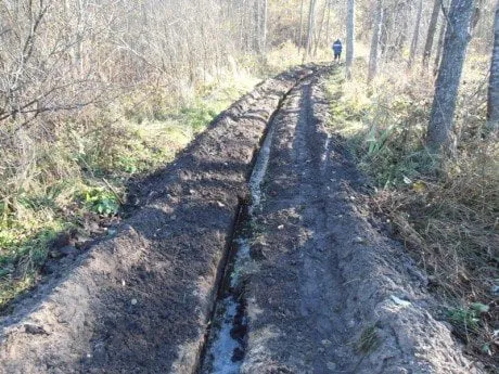 alytausgidas elektravarenosmiskuose1