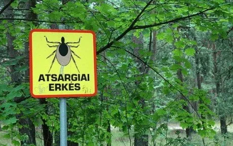 alytausgidas erk1