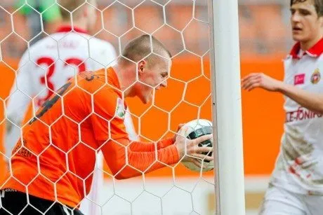 alytausgidas fkdarvyds