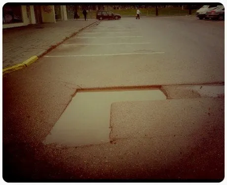 alytausgidas fotozuvduob1