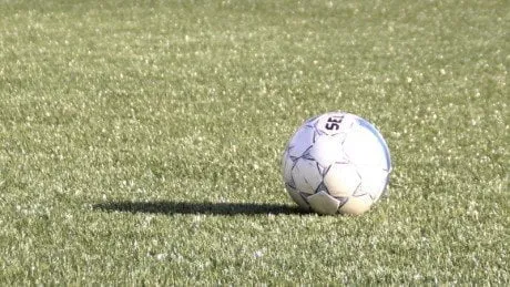 alytausgidas fule22