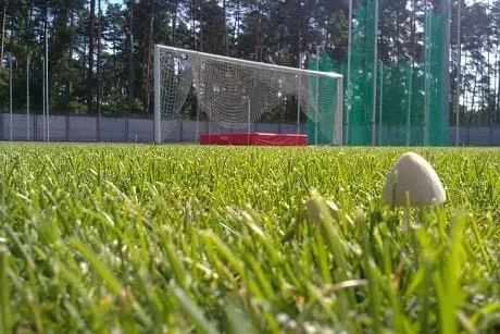 alytausgidas futbologrybai1