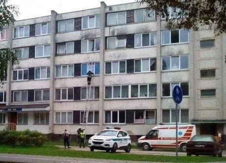 alytausgidas greitpolgelb1