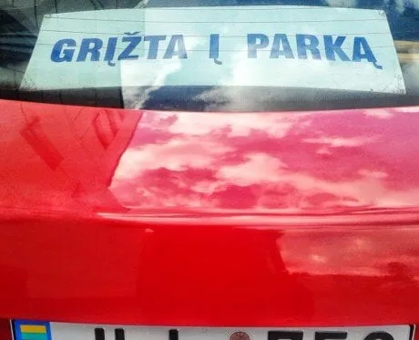 alytausgidas grizta1