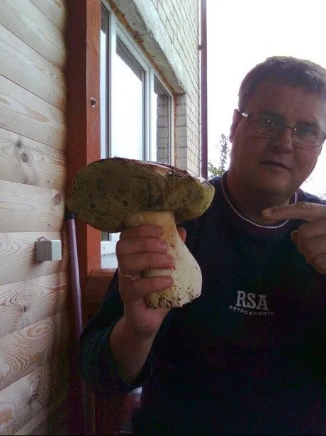 alytausgidas grybasvarcios1