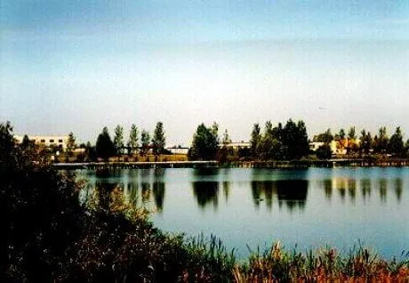 alytausgidas gulbyn1