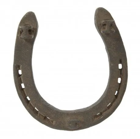 alytausgidas horse shoe dreamstimefree 16729871
