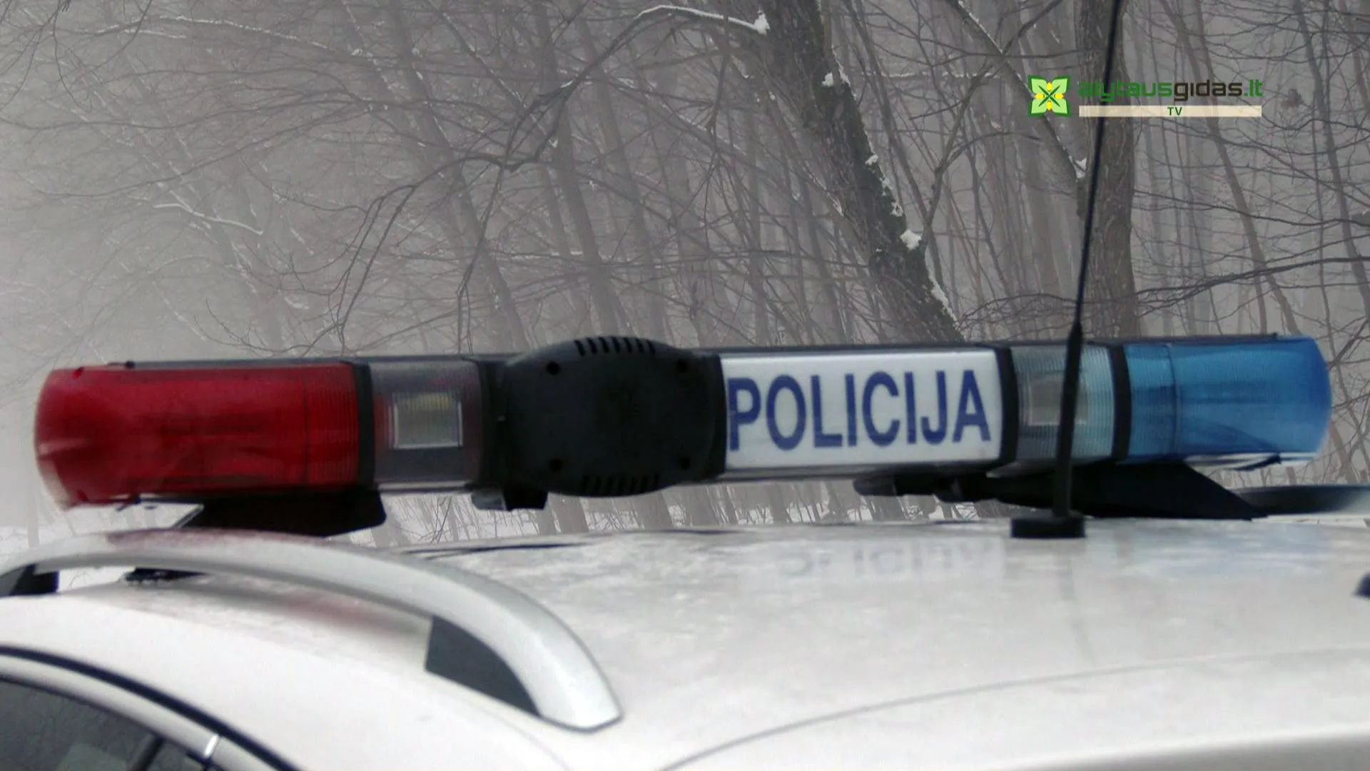 alytausgidas i archyva00000000