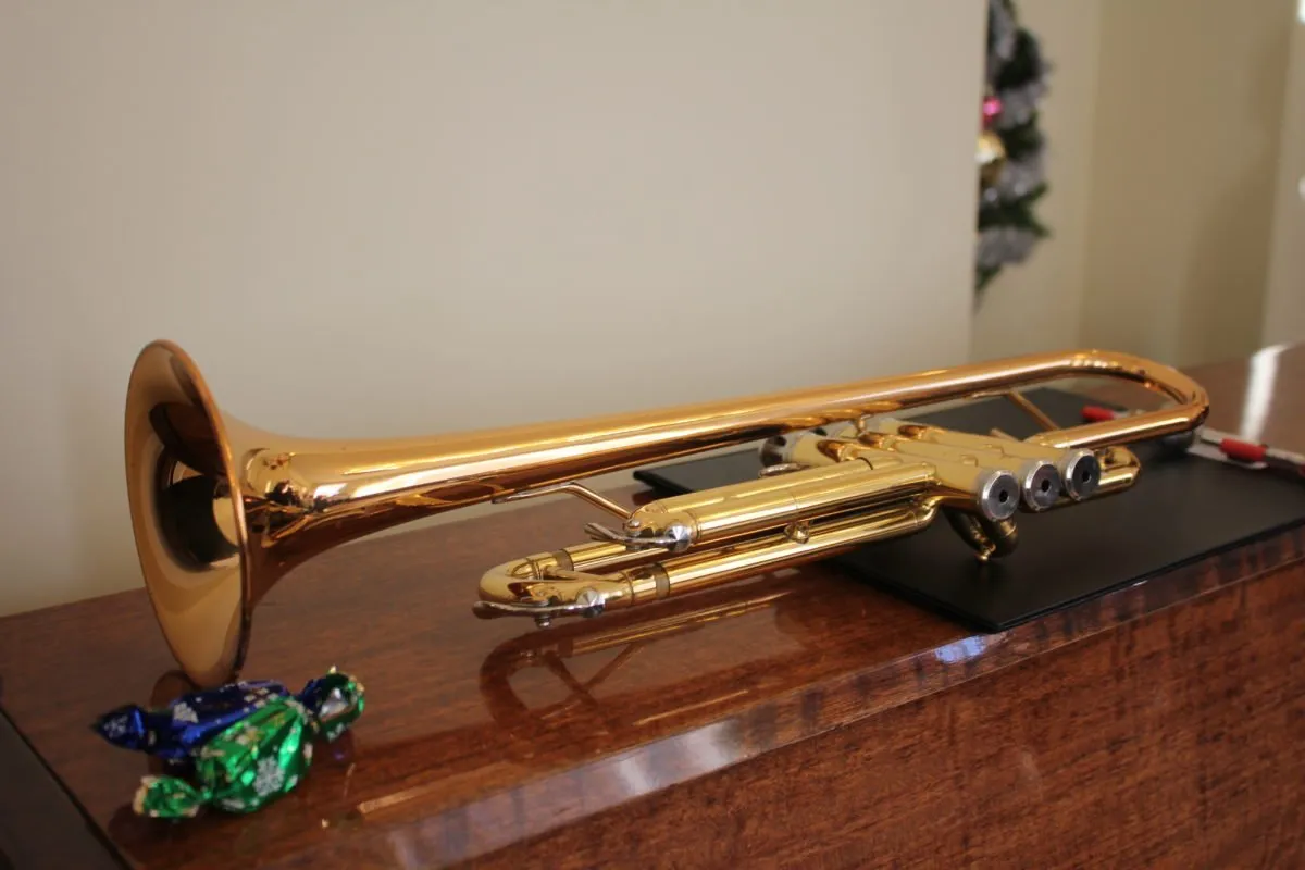 alytausgidas img 0329