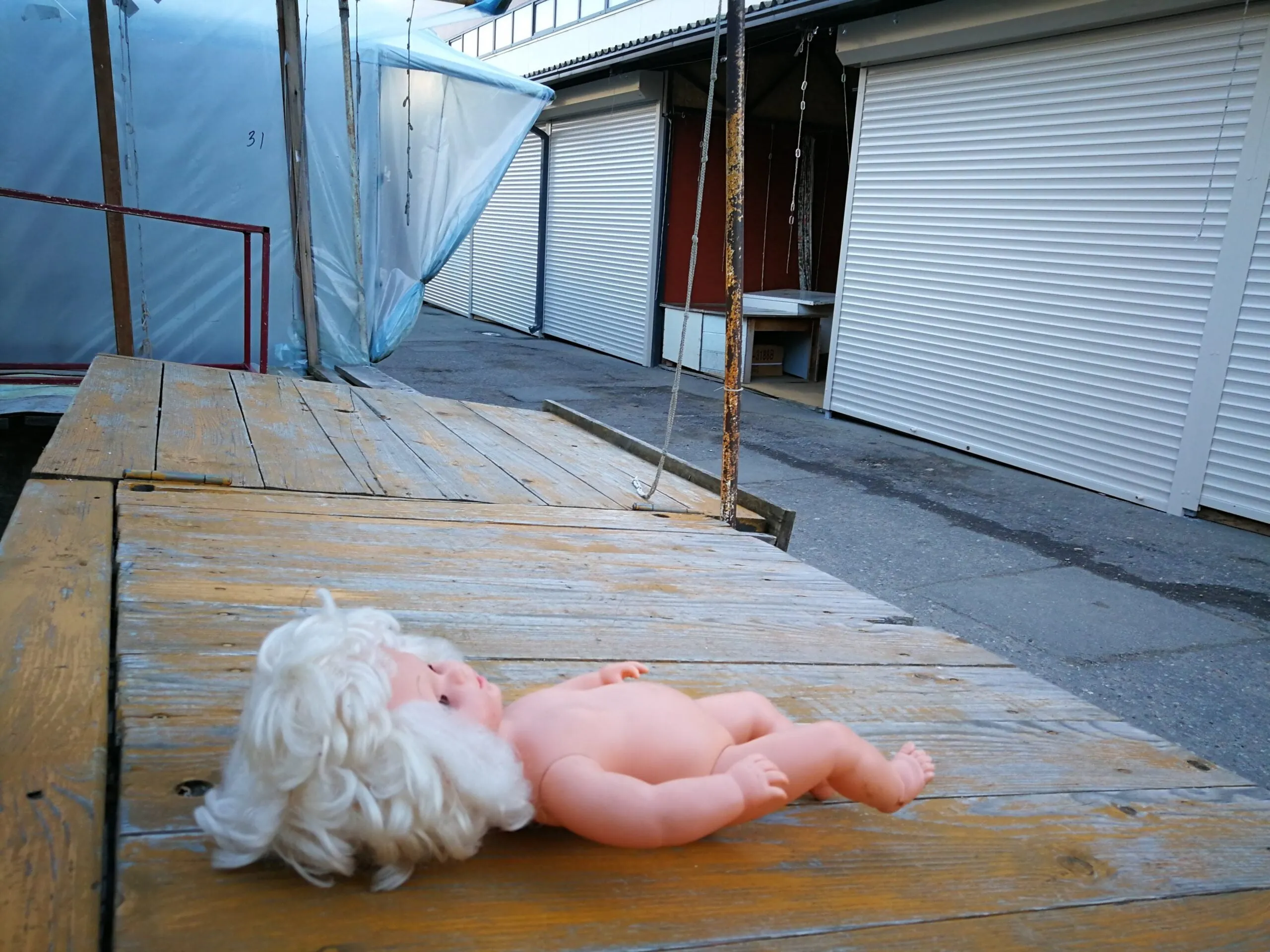 alytausgidas img 20180109 153046