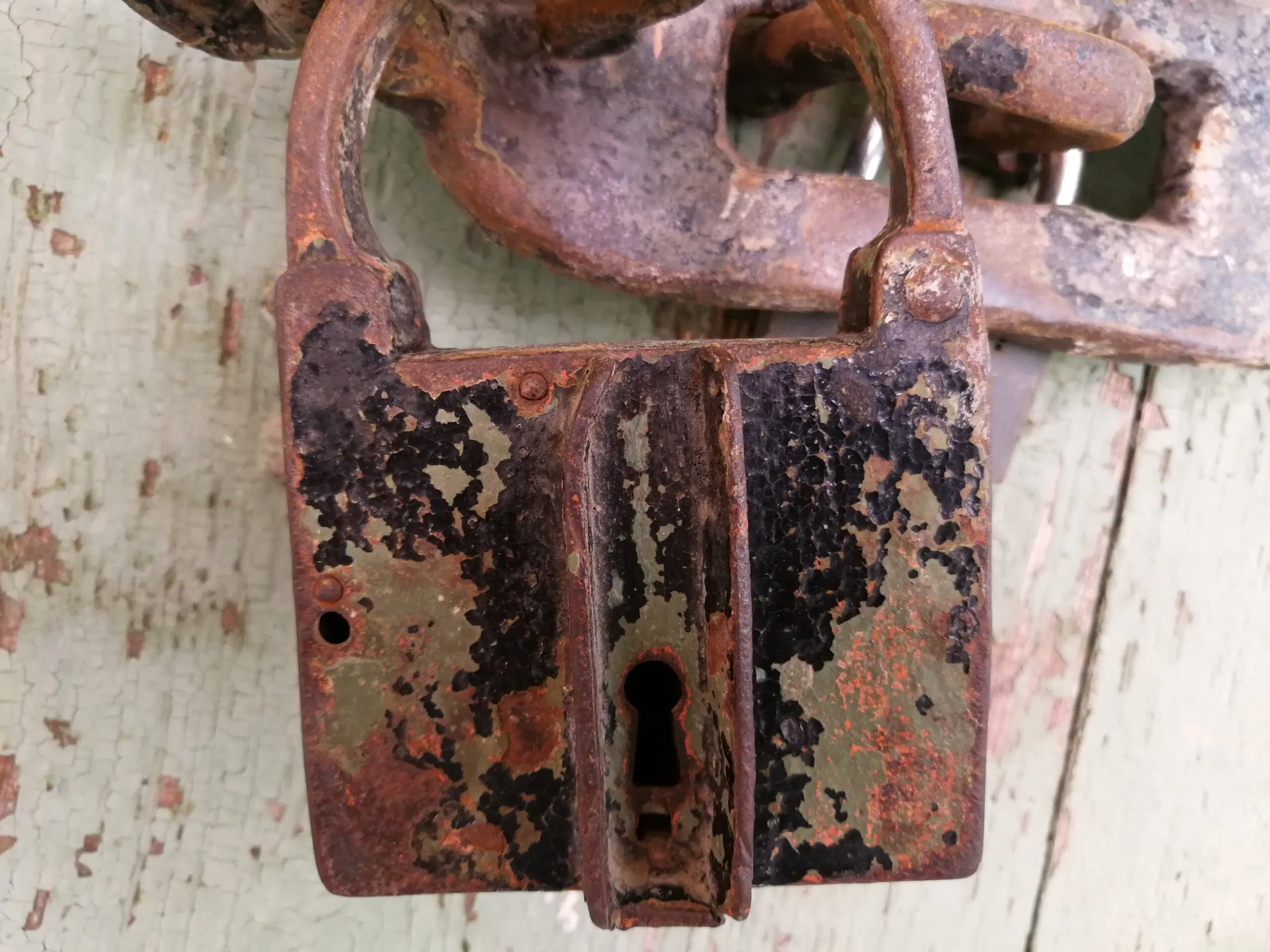 alytausgidas img 20180519 142537