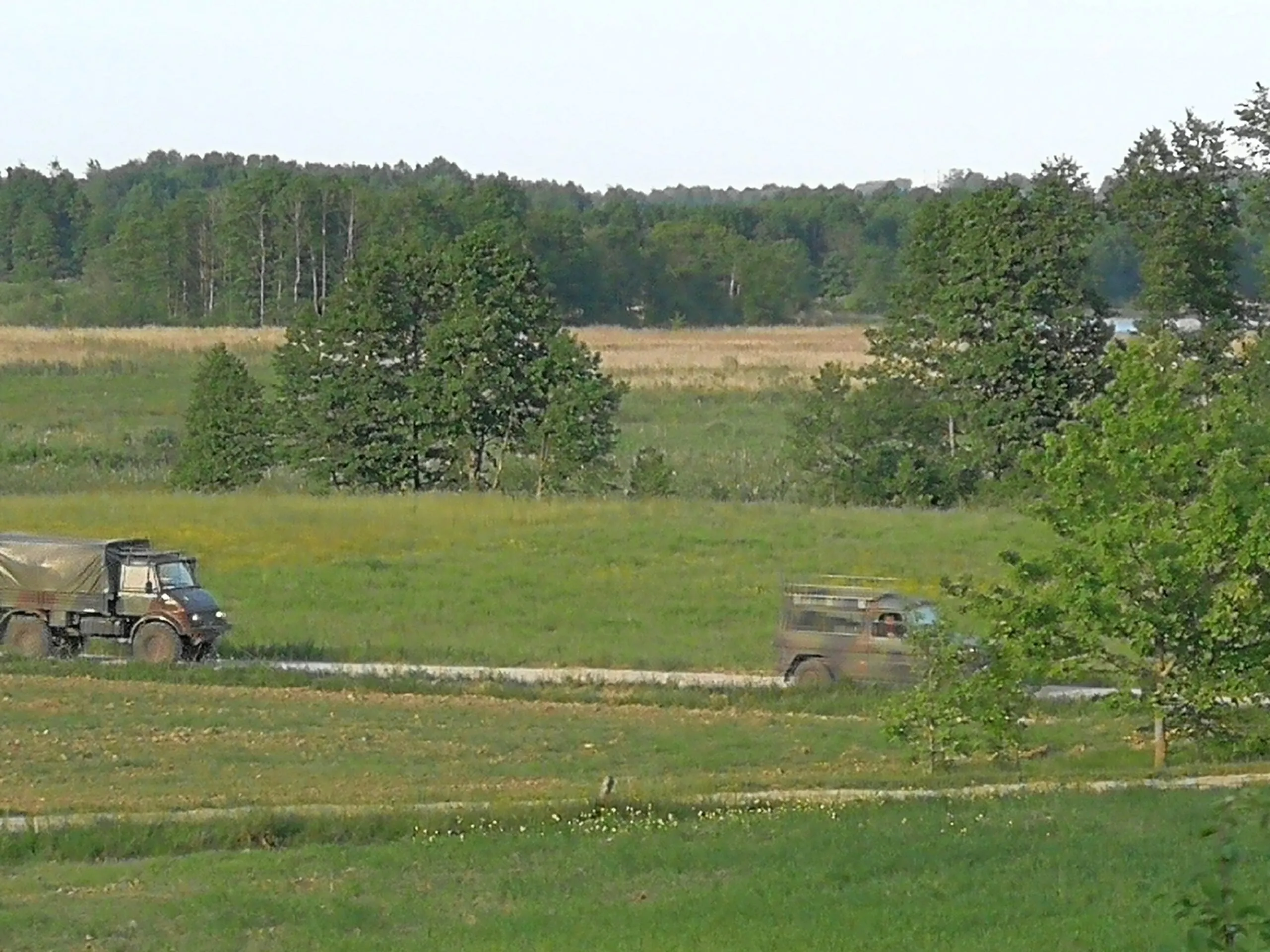 alytausgidas img 20180526 193839