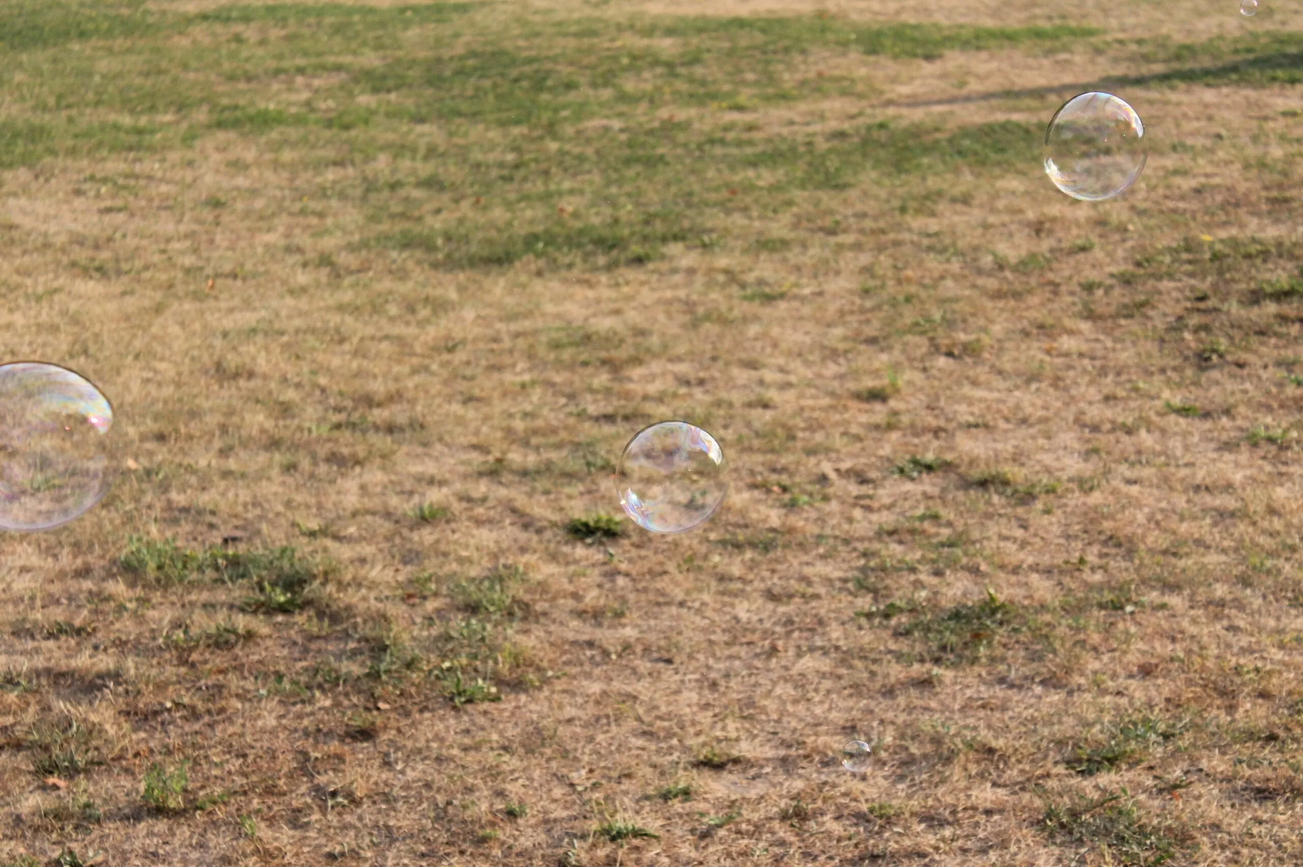 alytausgidas img 9933