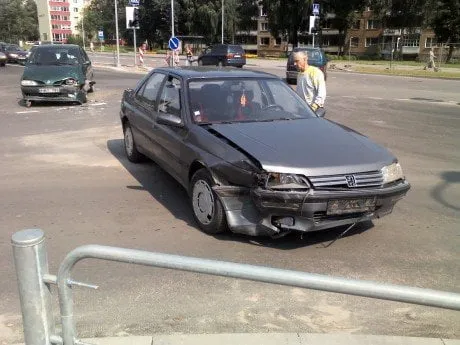 alytausgidas img0651